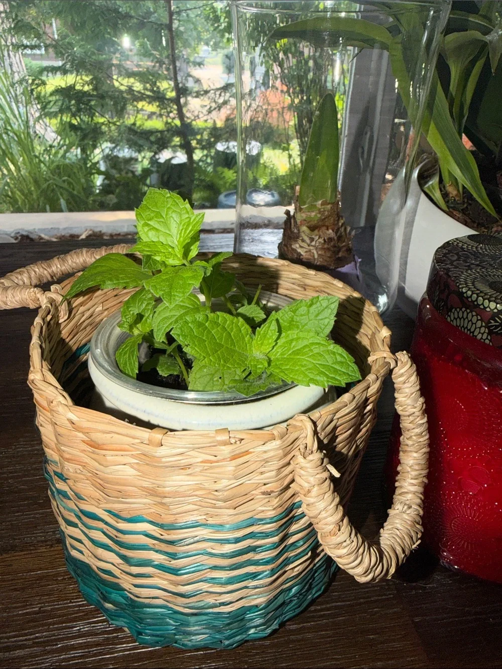 Mini- Handwoven Natural Woven Planter Basket - including pot for table